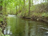 Babí léto na Úhlavě 8