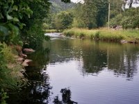 Všehochuť při polské hranici