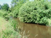 Mukaen na MP vodch - 2. dl: Kvtnov nvraty