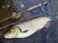 Mukaen na MP vodch - 5. dl: Z tepla do zub