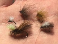 Muška splávek na francouzském návazci