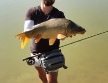 Statn zlat lysec na zvr. Cl splnn!