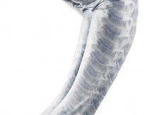 Ochrann rukvy Buff Original UV Coastal Arm Sleeves Bonefish