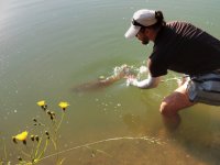 Testovací okénko - UV Ochranné rukávy Buff® Original