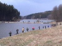 Poličská muška - Jaro 2002