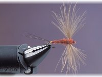 Vázání mušky L Spent