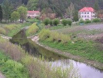 Kocba ped vtokem do Vltavy