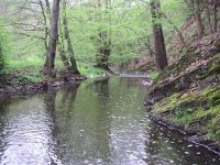 Kocába ve Štěchovicích
