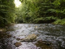 III. vprava MOL - Metuje I.