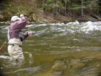 Pstruhové zahájení 2005