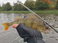 "Od vody" - Berounka 3 - zam��eno na dravce