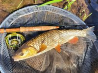 TOP Tipy CzechNymph ambasador pro letn mukaen