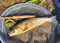 TOP Tipy CzechNymph ambasadorů pro letní muškaření - Článek