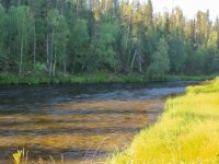 MS v mukaen 2021  Finsko - st 4. Prvn kolo na ece Kytkajoki