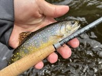 Nymfovací prut Primal ZONE 2100-4