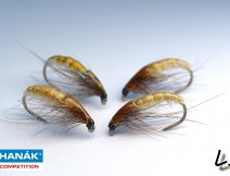 esk nymfy navzan na bleivcovm hku H 330 BL