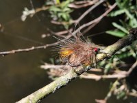 "Od vody" - Když to nejde na Rockerku