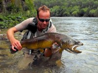Mramorový pstruh (Marble Trout)