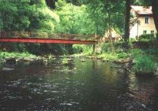 Muškaření na Karlovarsku - článek