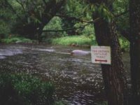 Rombersk sek chy a pus