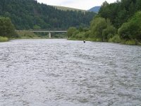 Muškárenie na rieke Poprad I.