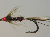 Mušky anglických závodníků I.