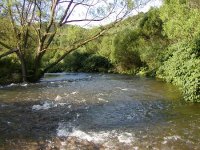 Mušky do vysoké vody