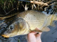 Mukaen na MP vodch - 1. dl: Poten rozpaky