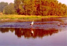 Mukaen v okol Prahy - lnek