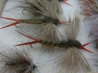 Krabika Gerharda Laibleho