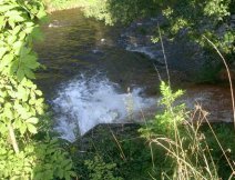 Svatava - vpus z istiky nad soutokem s Oh