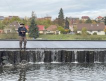 Berounka 3 v Hýskově