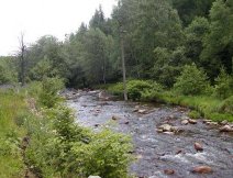 Rolava u Vysoké Pece