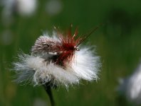 Zkladn vybaven pro lov na suchou muku