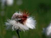 Zkladn vybaven pro lov na suchou muku