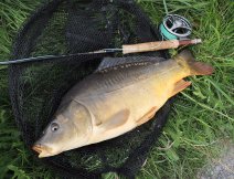 Krtk odbhnut na ni MP pehradu pineslo i pknho kapka, kter se nechal zlkat na lutou lurku z m Kolekce muek - TOP Jezern muky na Poliku!