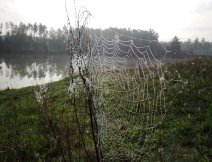 Okouzlujc rno z jednoho z mnoha tich lov v prbhu Babho lta.