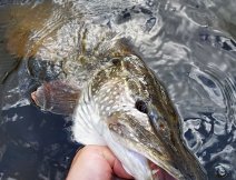 Posledn fotka ped vyputnm ndhern stavn a vybarven tiky, kter neodolala mmu streameru!