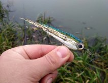 Clydesdale Golden Perch - výborný okounkový streamer, na který ulovíte štiky, candáty a velké okouny!