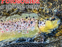 Fotosoutěž k "Zahájení pstruhové sezony 16. 4. 2023"