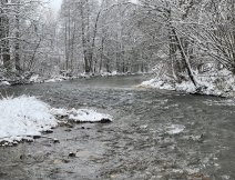 Zakonen pstruhov sezny 2023