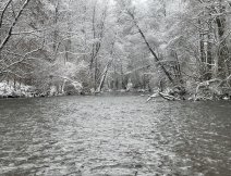 Zakonen pstruhov sezny 2023