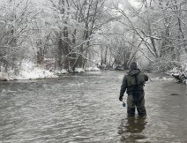 Zakonen pstruhov sezny 2023