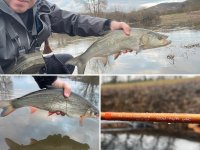 "Od vody" - Jezerní taktika pro zimní úspěch na řece