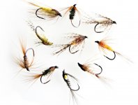 Cesta mukae: Dlouh nymfa