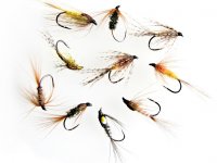 Cesta muškaře: Dlouhá nymfa