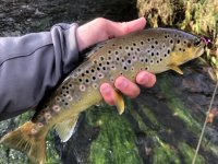 Squirmy Wormy a jejich příbuzní z rodiny červíků