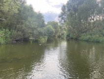 Sázava pod jezem ve Čtyřkolech