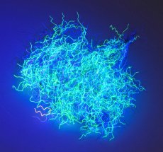 Nuclear Nymph Dubbing se skrýtým UV efektem - Článek