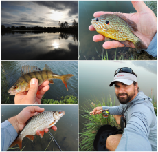 "Od vody" - Srpnov veery na zatopen pskovn - lnek
